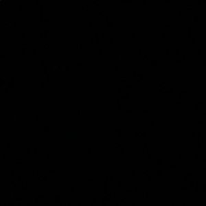 Meet your Posher, Travis